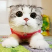 Отзыв от Марина К.