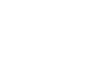 Целое море цветов