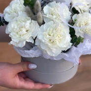 Коробочка с диантусами 1