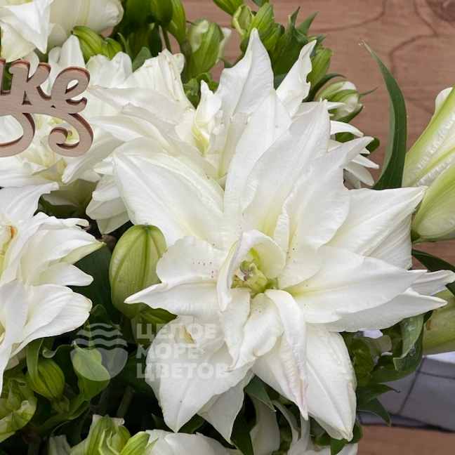 Композиция Лилиана