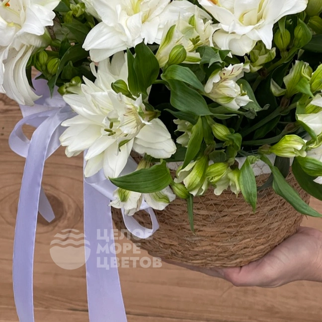 Композиция Лилиана