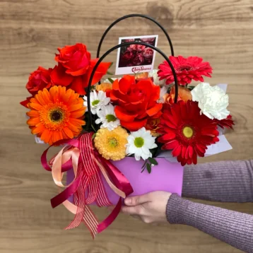 Сумочка Веснушка