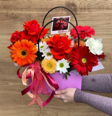 Сумочка Веснушка