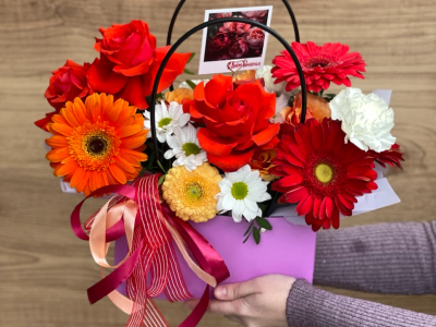 Сумочка Веснушка