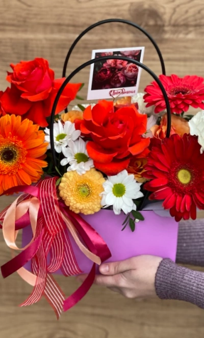 Сумочка Веснушка