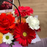 Сумочка Веснушка 3