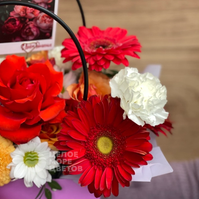 Сумочка Веснушка