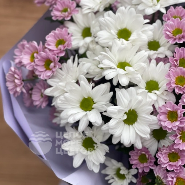 Букет милые ромашки