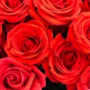 Букет Амур 3