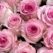 Букет Малышка 3