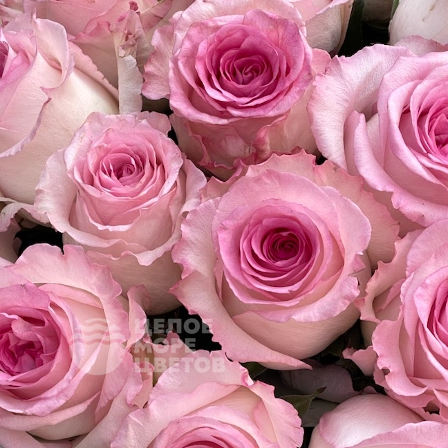 Букет Малышка