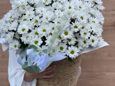 Корзина «Ромашковый рай»