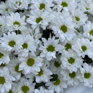 Корзина Ромашковый рай 2