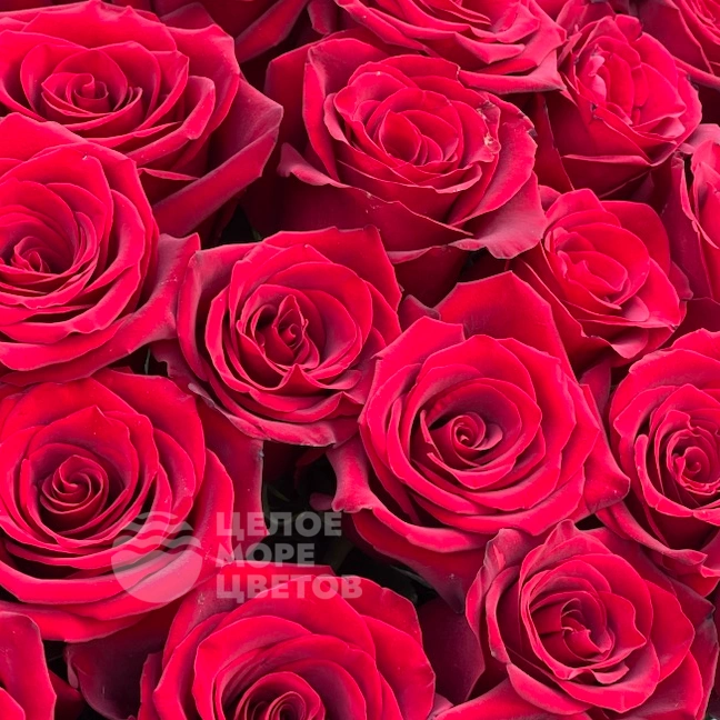  Букет &laquo;Hot Love&raquo;