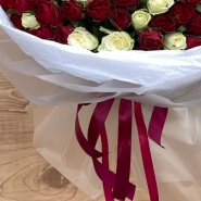 101 Красно -белая роза 2