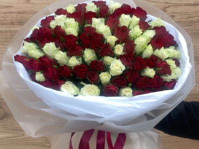 101 Красно -белая роза