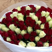 101 Красно -белая роза 1