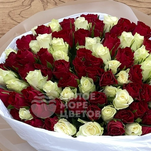 101 Красно -белая роза