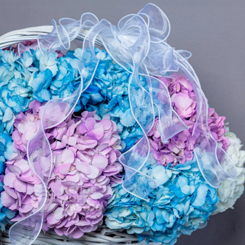 Корзина с гортензиями для самой любимой 