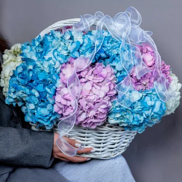 Корзина с гортензиями для самой любимой 