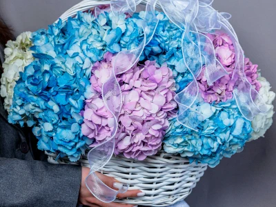 Корзина с гортензиями «Для самой любимой »