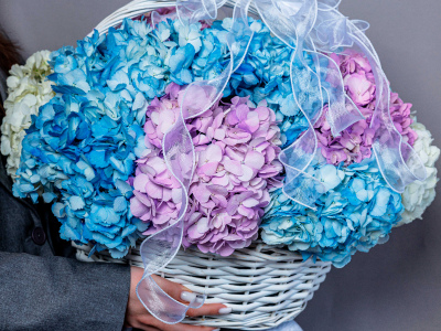 Корзина с гортензиями для самой любимой 