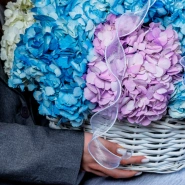 Корзина с гортензиями для самой любимой  2