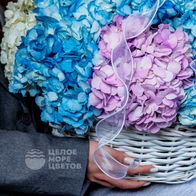 Корзина с гортензиями для самой любимой 