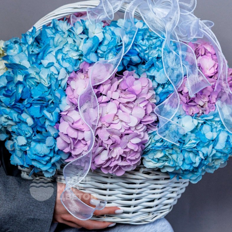 Корзина с гортензиями для самой любимой 