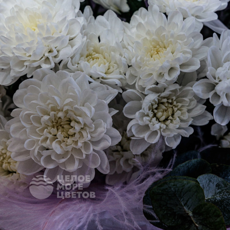 Букет из хризантем &laquo;Нежный ангел&raquo;