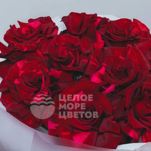 Букет &laquo;Ред пантера&raquo; 