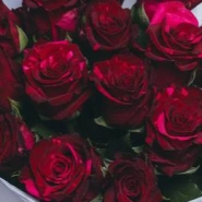 Букет из 15 роз &laquo;Ред пантер&raquo; 3