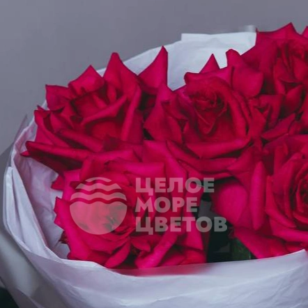 Букет из 5 малиновых французских роз 