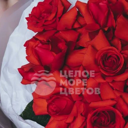 Букет из 9 французских роз Нина 