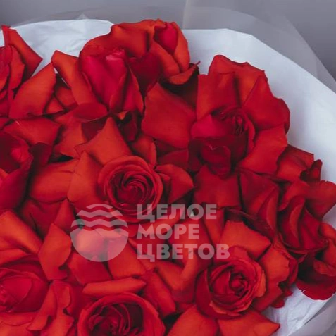 Букет из 9 французских роз Нина 