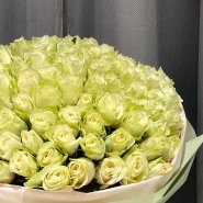 101 белая роза  1