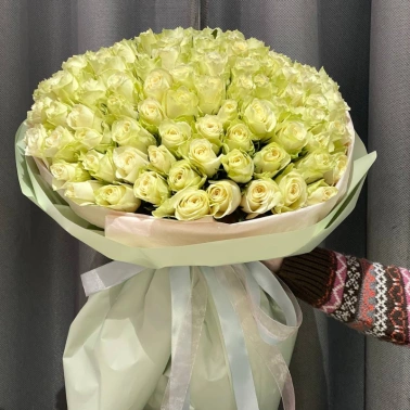 101 белая роза 