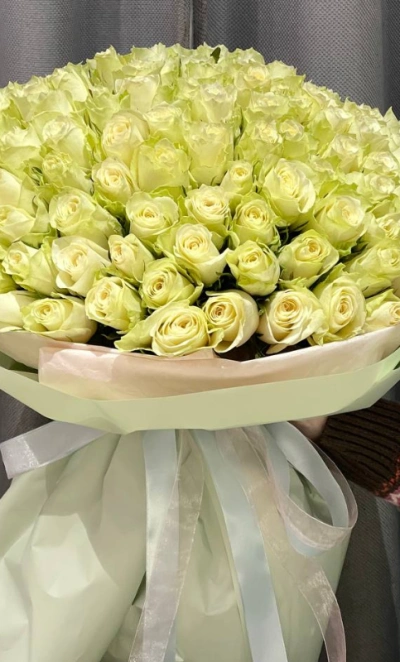 101 белая роза 