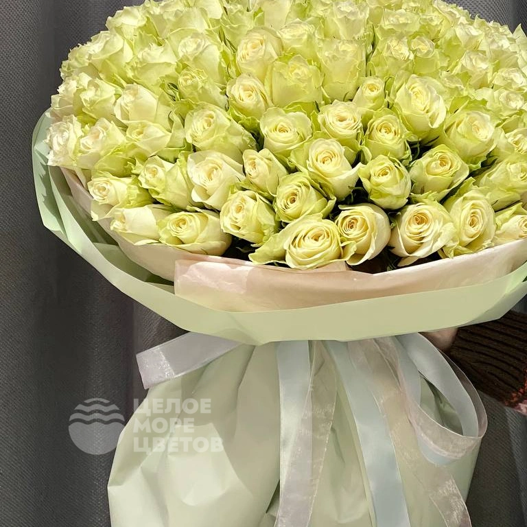 101 белая роза 