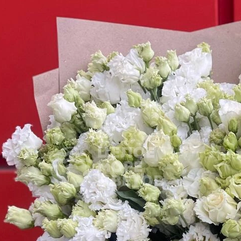 Букет из 21 эустомы 