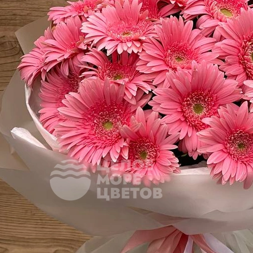 Букет из 21 герберы 