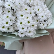 Букет из 9 веточек хризантем  1