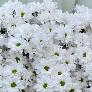 Букет из 9 веточек хризантем  2