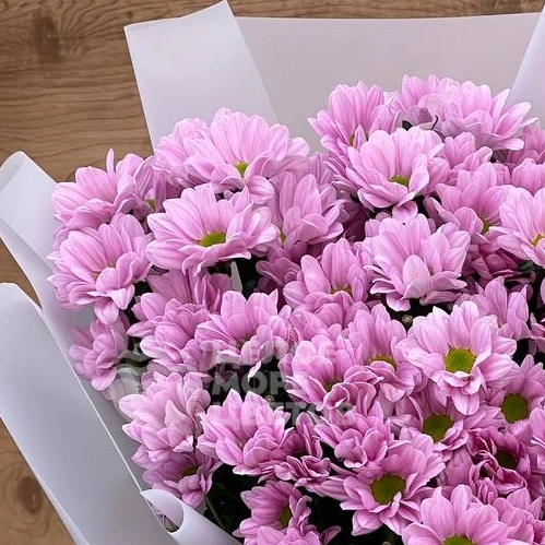 Букет из 9 веток хризантем розового цвета 