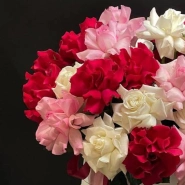 Композиция &laquo;Франция&raquo; 1