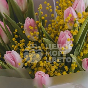 Букет с тюльпанами и мимозой 