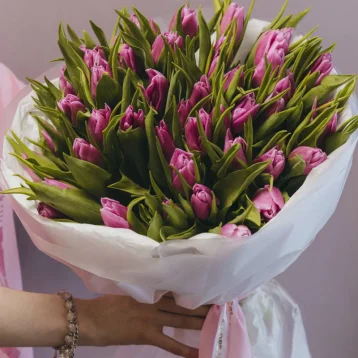 51 тюльпан сиреневого цвета 