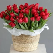 Корзина с красными тюльпанами 35 шт 0