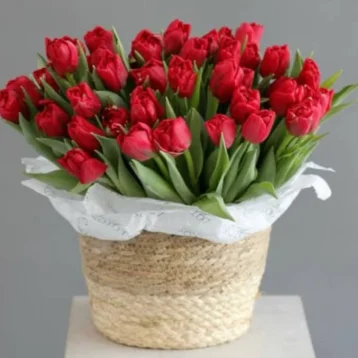 Корзина с красными тюльпанами 35 шт