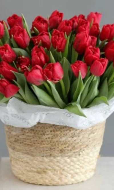 Корзина с красными тюльпанами 35 шт